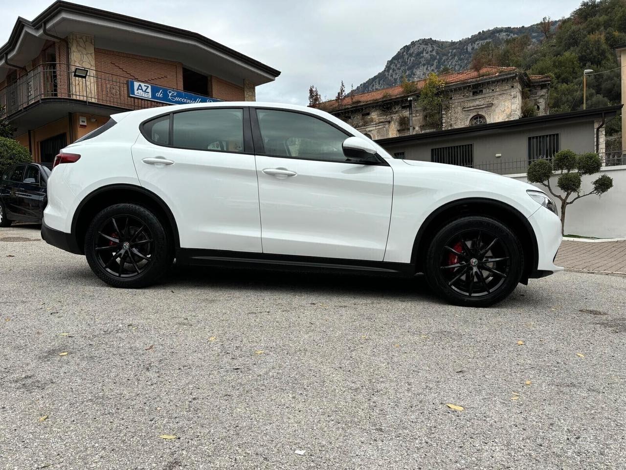 Alfa Romeo Stelvio 2.2 180 CV AT8 Q4 Executive FULL CARBON