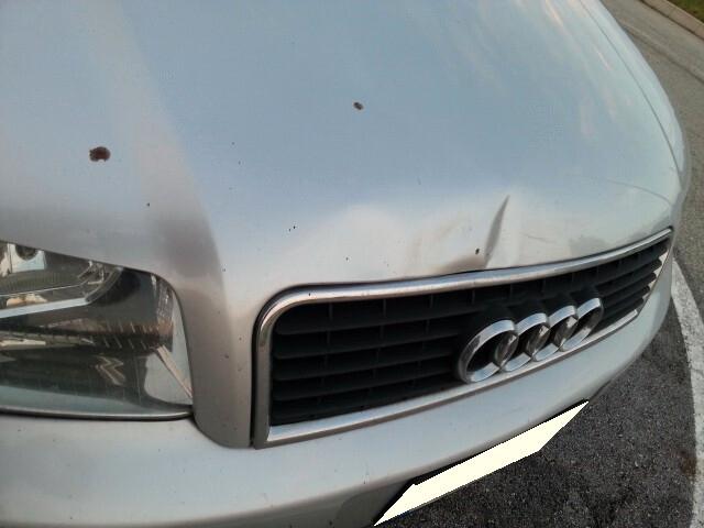 Audi A4 1.9 TDI 130CV Avant