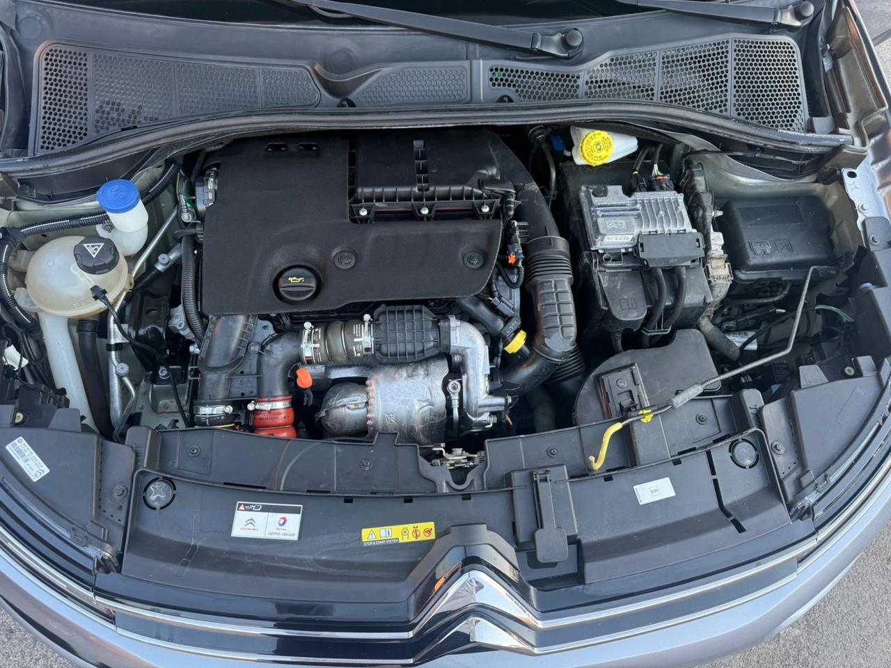 Citroen C4 Cactus BlueHDi 100 Shine Perfetta