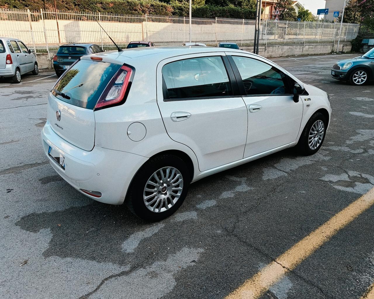 Fiat Punto 1.3 MJT II 75 CV 5 porte Young