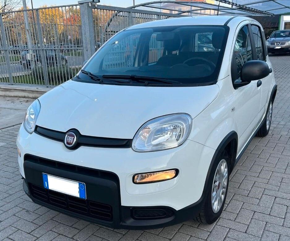Fiat Panda 1.0 FireFly S&S Hybrid Km zero!!... 5 posti