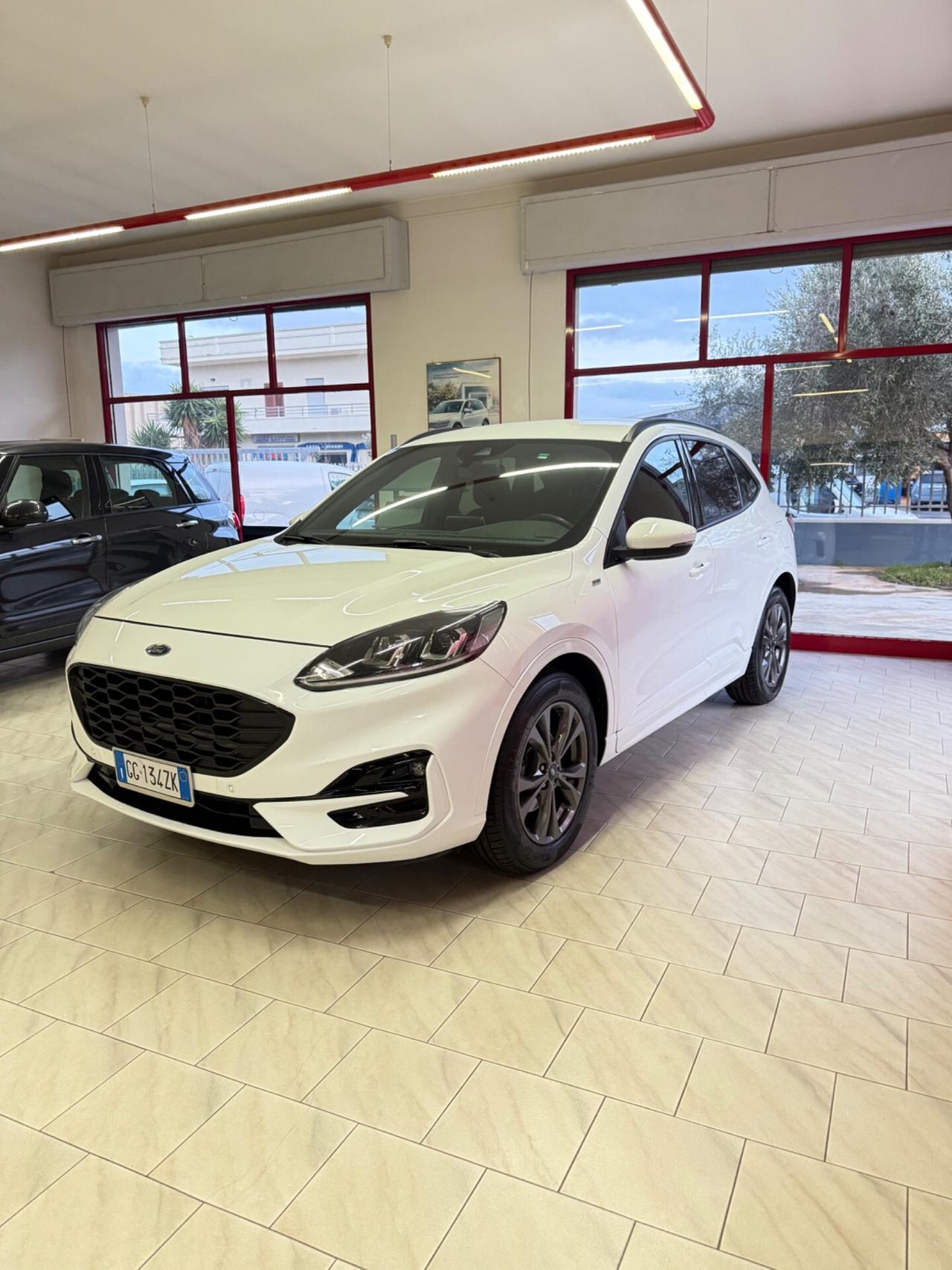 Ford Kuga 1.5 EcoBlue 120 CV aut. 2WD ST-Line X