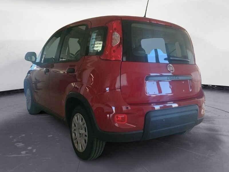 FIAT Panda NEW 1.0 70cv Hybrid Panda