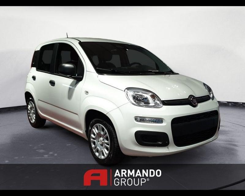 FIAT Panda 3ª serie 1.0 FireFly S&S Hybrid Icon