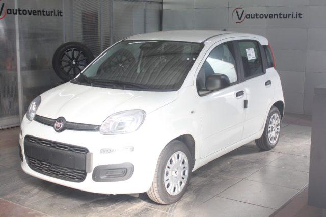 FIAT Panda 1000 HYBRID PANDA 70 CV 5 POSTI KM 0