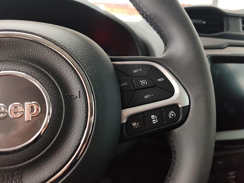 Jeep Renegade 1.6 Mjt 130 CV Limited Plus Vari Colori