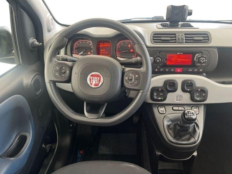 FIAT Panda Cross Panda 1.0 firefly hybrid Cross s&s 70cv