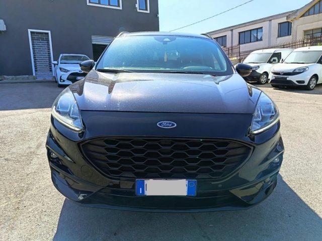 FORD Kuga 1.5 EcoBlue 120 CV 2WD ST-Line