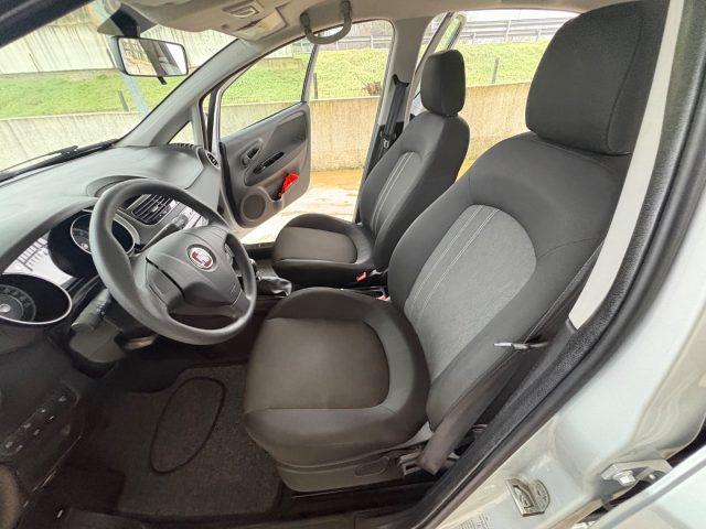 FIAT Punto 1.2 8V 5 porte Street POCHI CHILOMETRI EURO 6