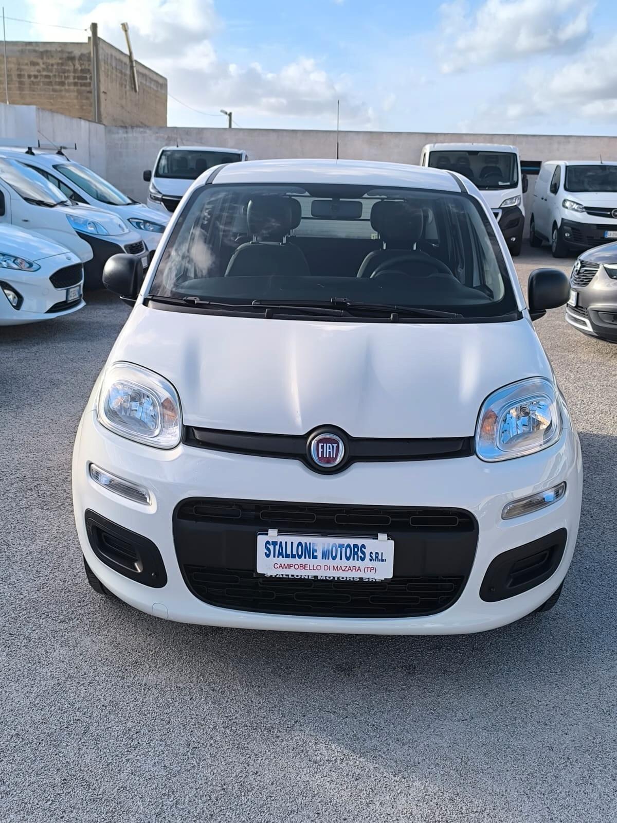 Fiat Panda 1.2 Easy Van 4 posti 2019