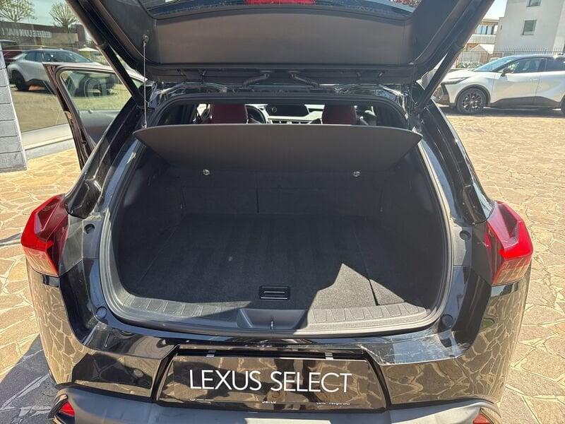 Lexus UX UX 250 Hybrid F Sport