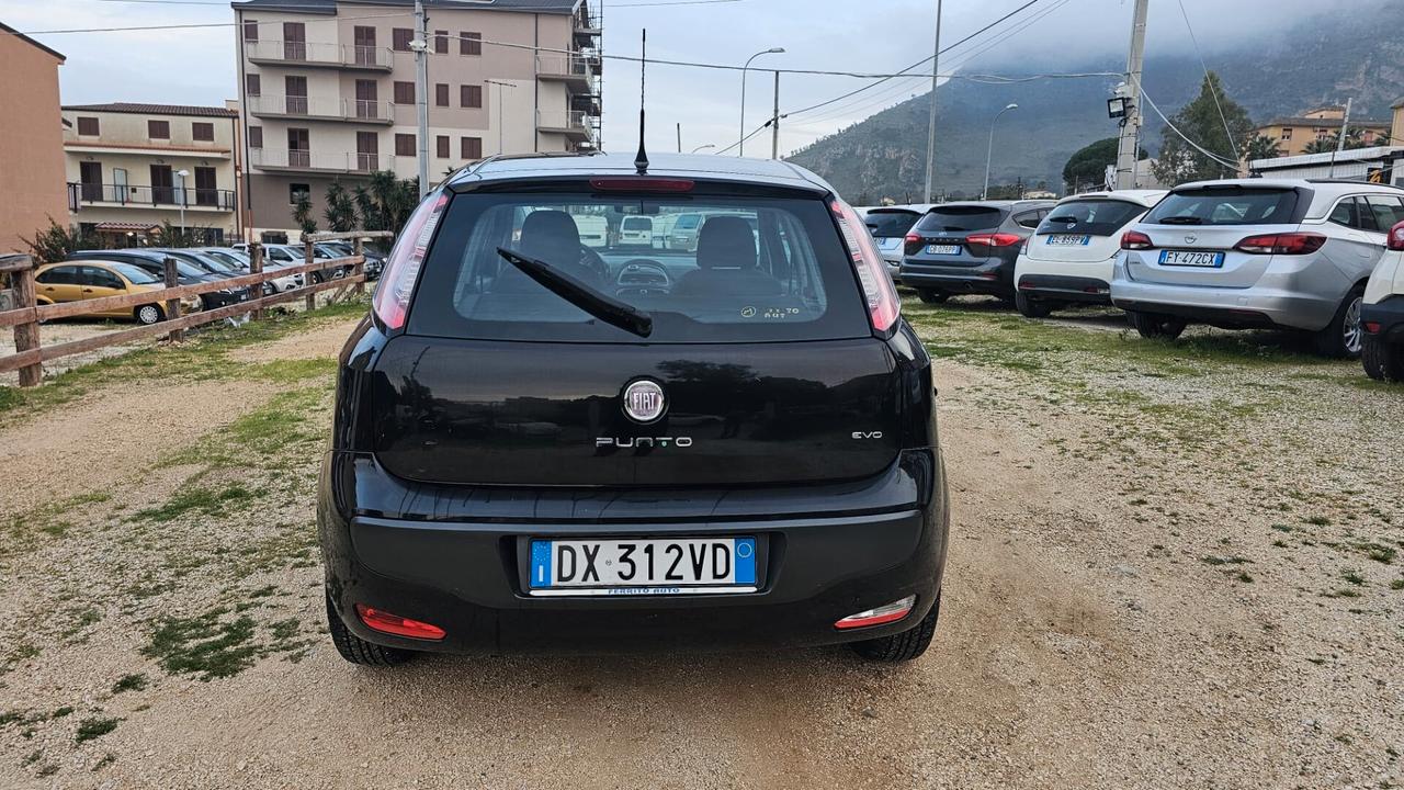 Fiat Punto Evo Punto Evo 1.4 5 porte Active