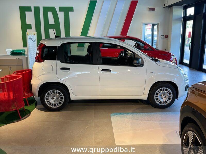 FIAT Panda 1BH 1.0 70cv Hybrid Icon