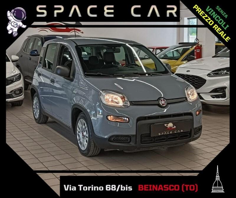 FIAT Panda 3ª serie Panda 1.0 FireFly S&S Hybrid