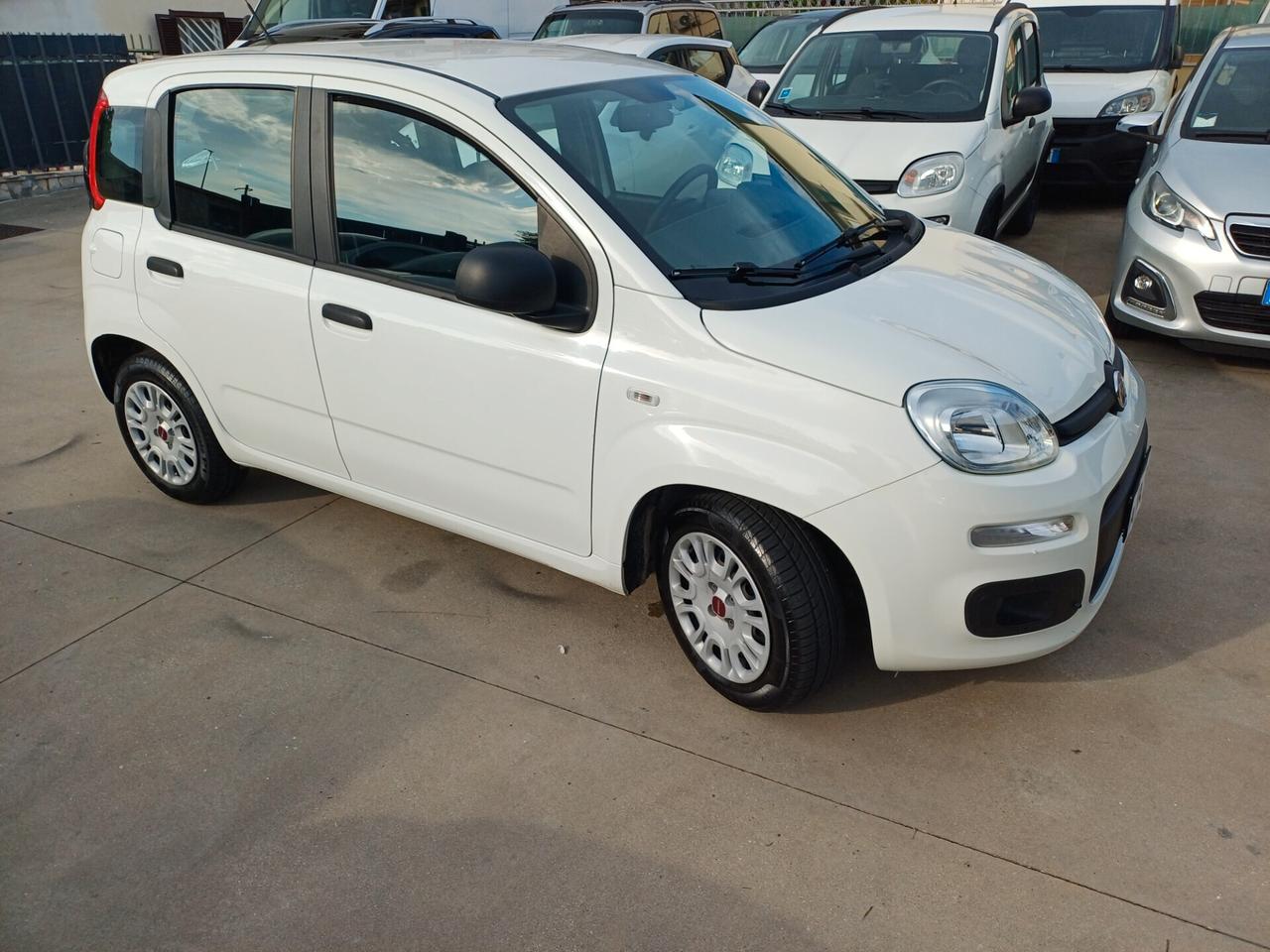 Fiat Panda 1.3 MJT 95 CV ( KM 18000)