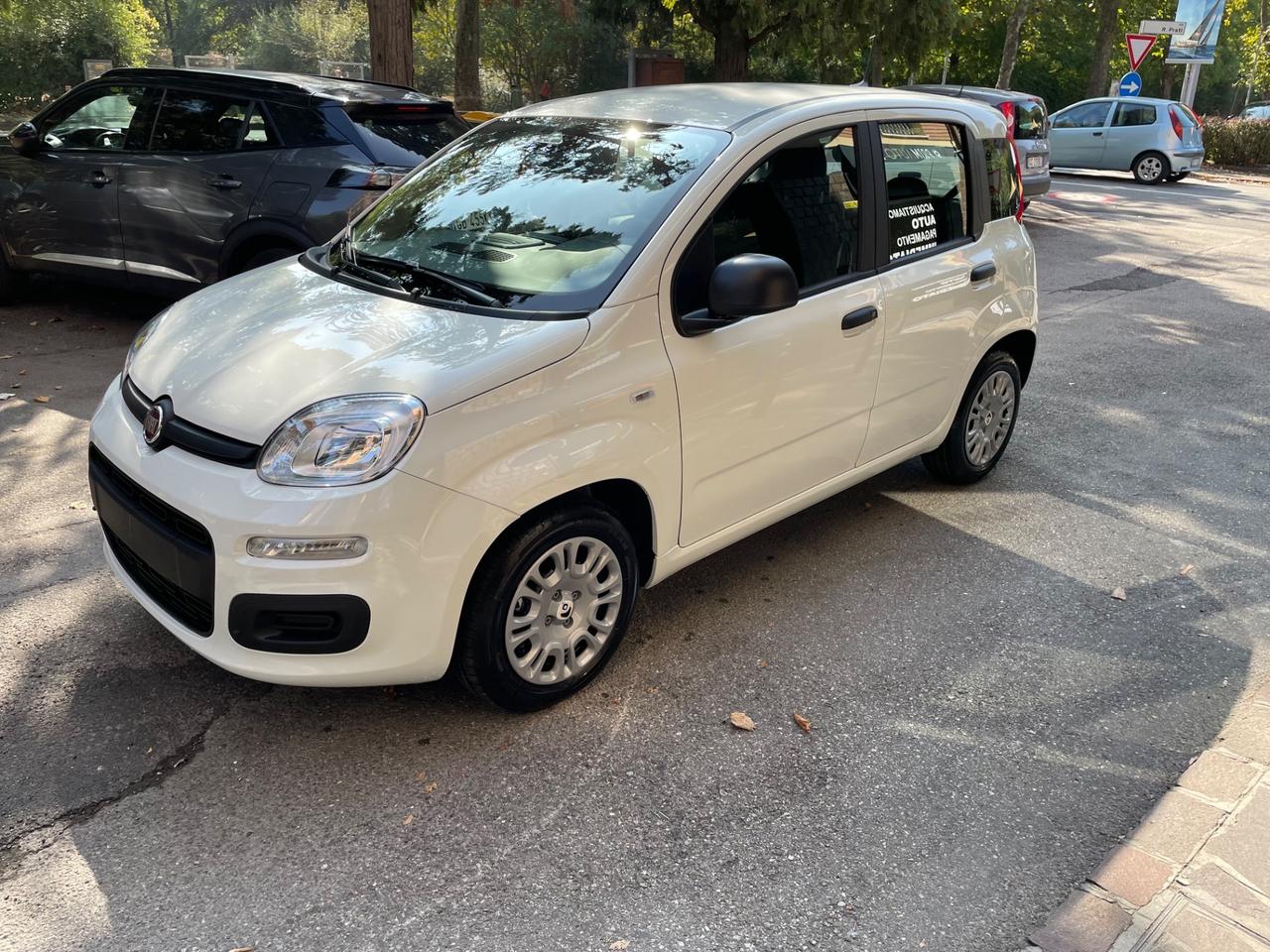Fiat Panda 1.0 FireFly S&S Hybrid Icon
