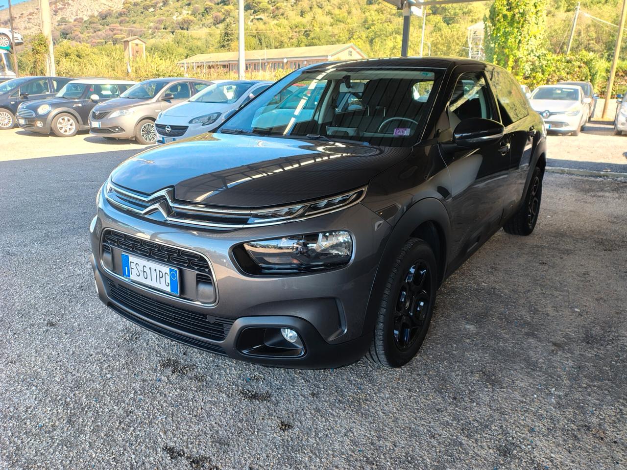 Citroen C4 Cactus BlueHDi 100 S&S Shine