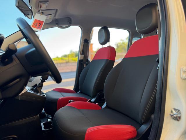 FIAT Panda 1.2 Easy (NESSUN VINCOLO)