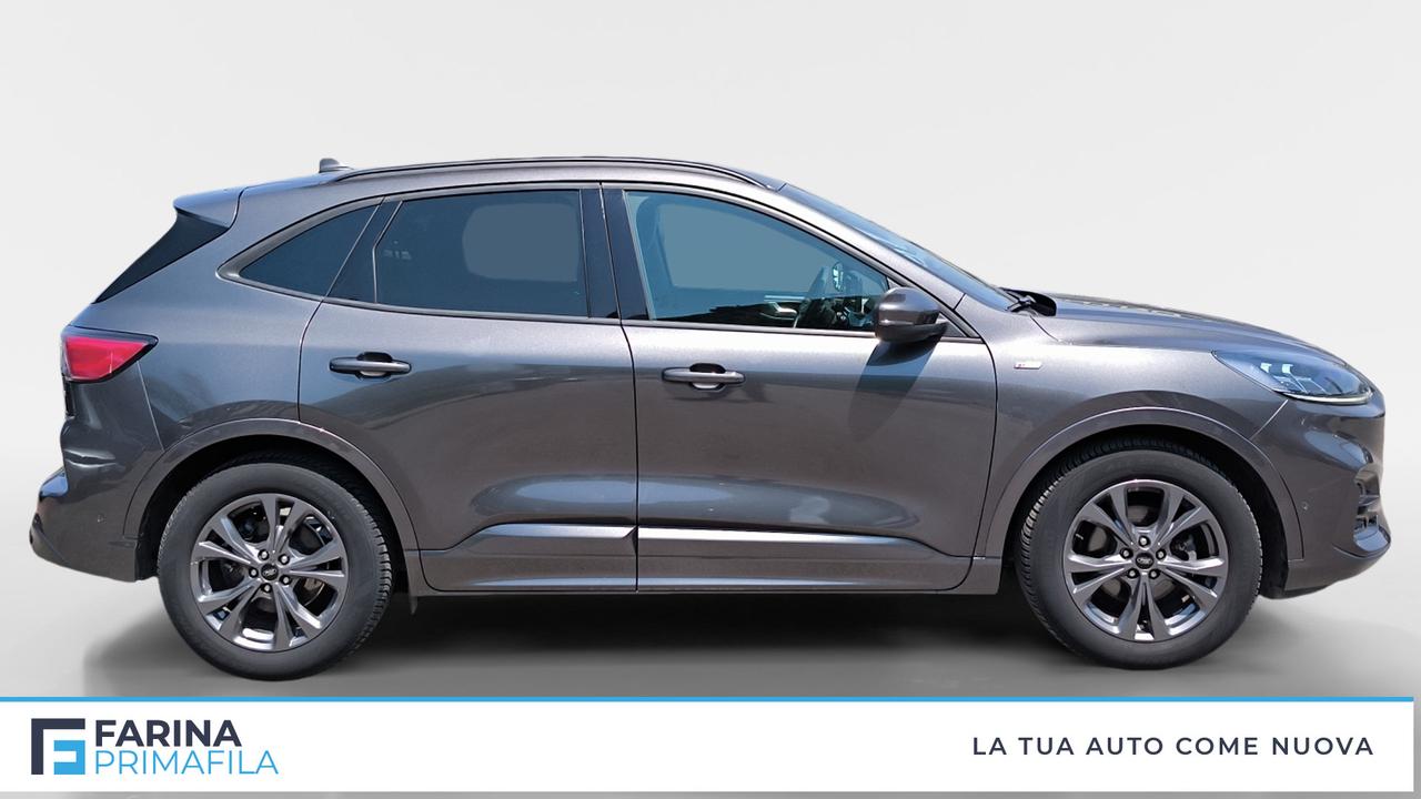 FORD Kuga III 2020 - Kuga 1.5 ecoblue ST-Line X 2wd 120cv auto
