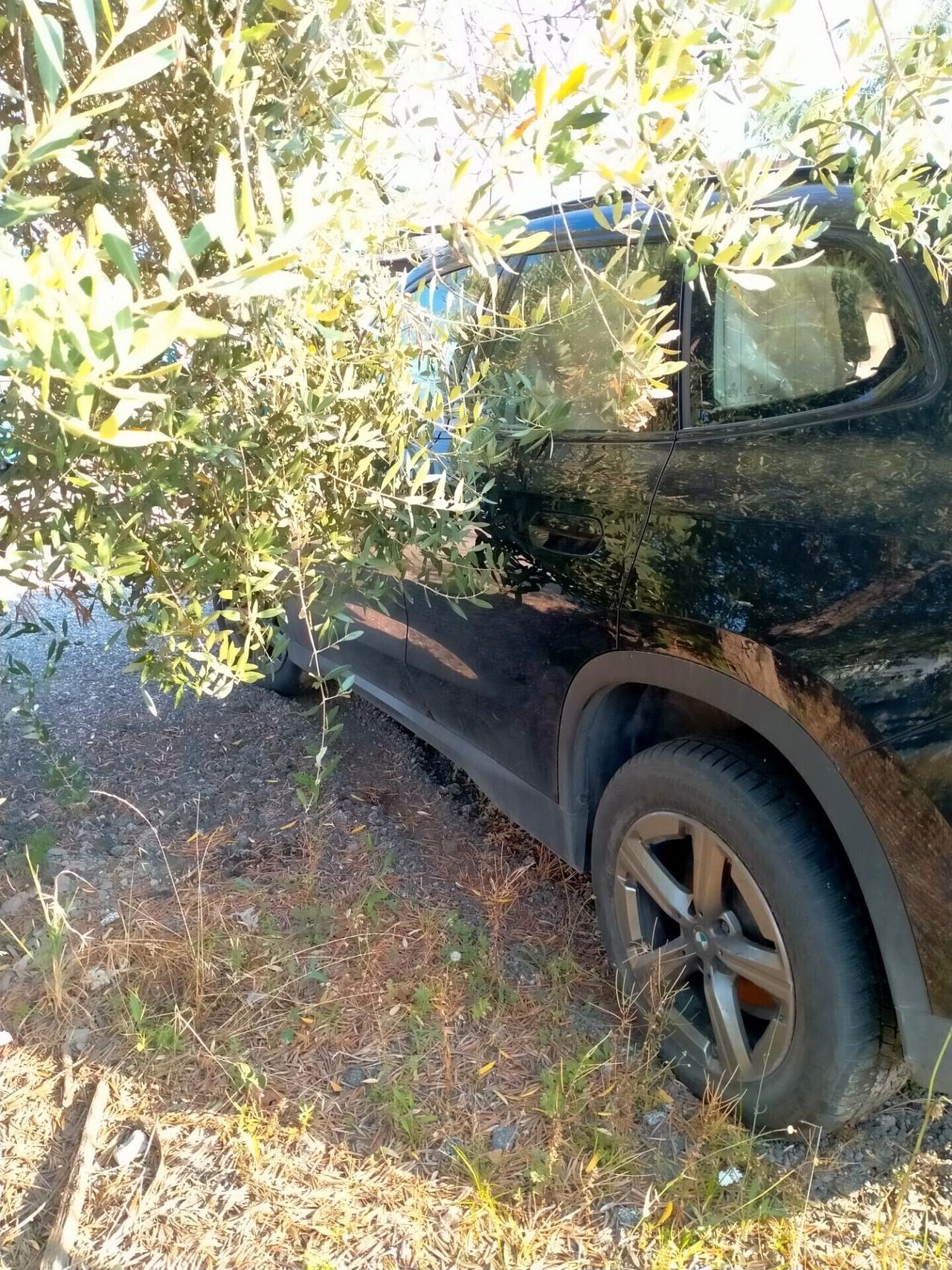 Bmw X1 sDrive 18i xLine