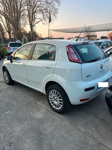 Fiat Punto 1.4 8V 5 porte Easypower Street ok neo patentati