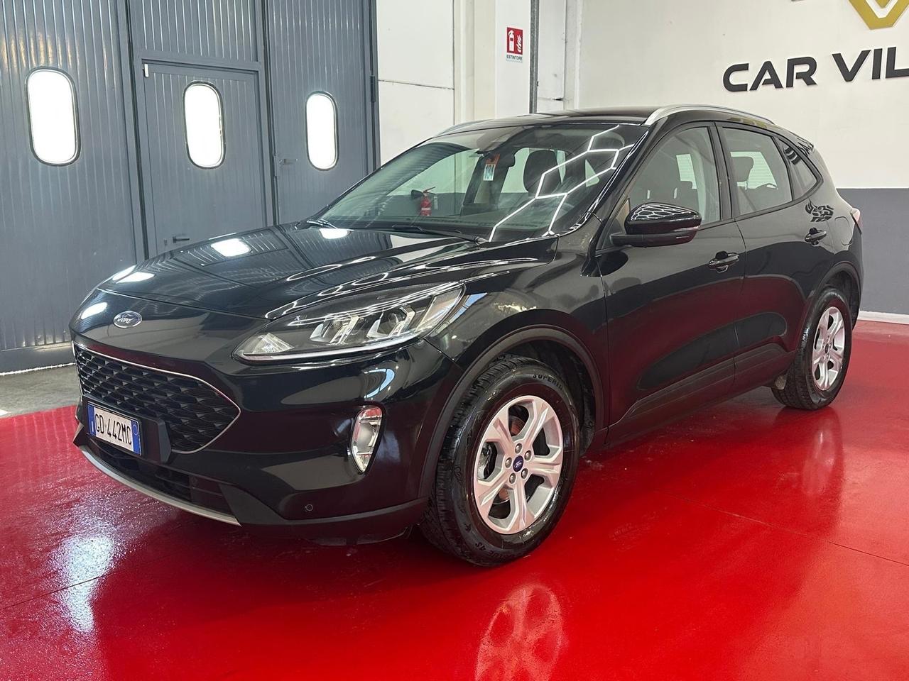 Ford Kuga 1.5 EcoBlue 120 CV aut. 2WD Titanium Business