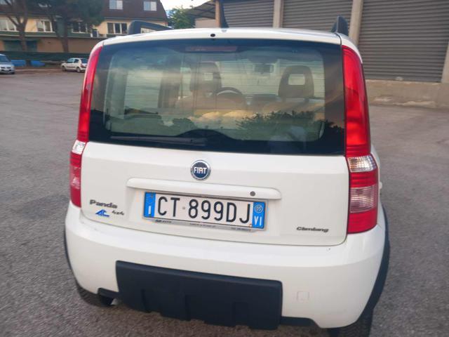FIAT Panda 1.2 4x4 Climbing senza nessun lavoro da fare