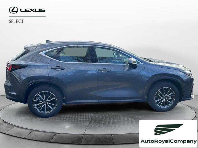 Lexus NX Hybrid Business+ 4WD IVA ESPOSTA KM 13900