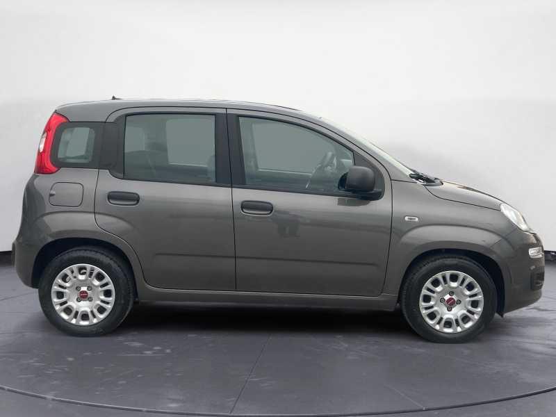 FIAT Panda 1.0 hybrid Easy s&s 70cv