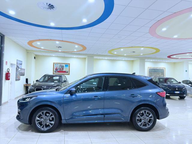 FORD Kuga 2.0 EcoBlue 120 CV aut. 2WD ST-Line