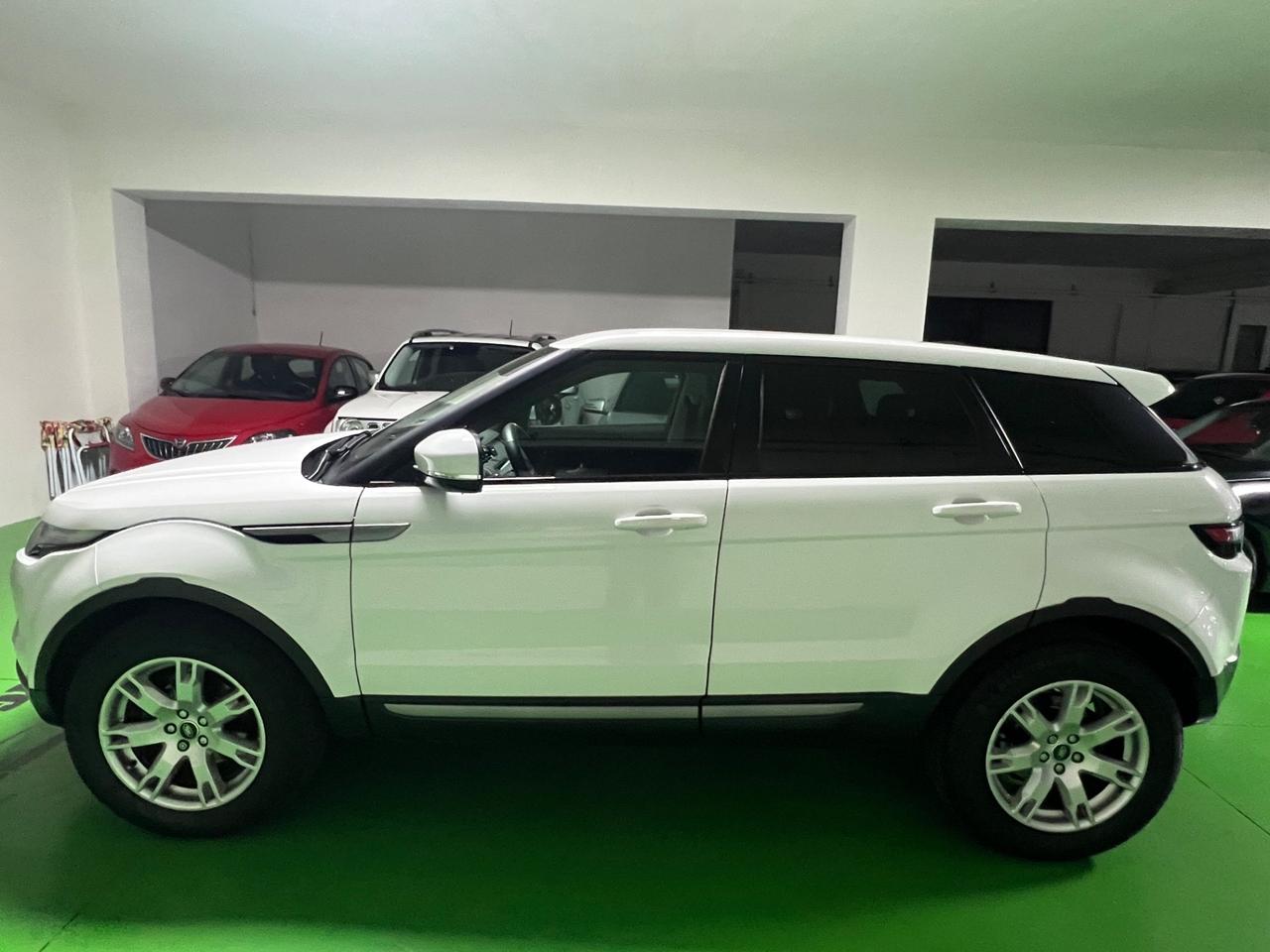 Land Rover Range Evoque 2.2 TD4 5p. Pure