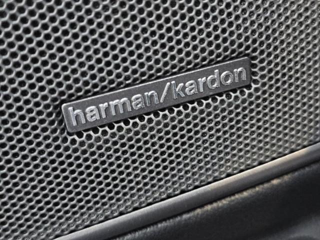 BMW M3 M3 Comp Tetto C.19" 20" Harman Kardon Carbonio Led