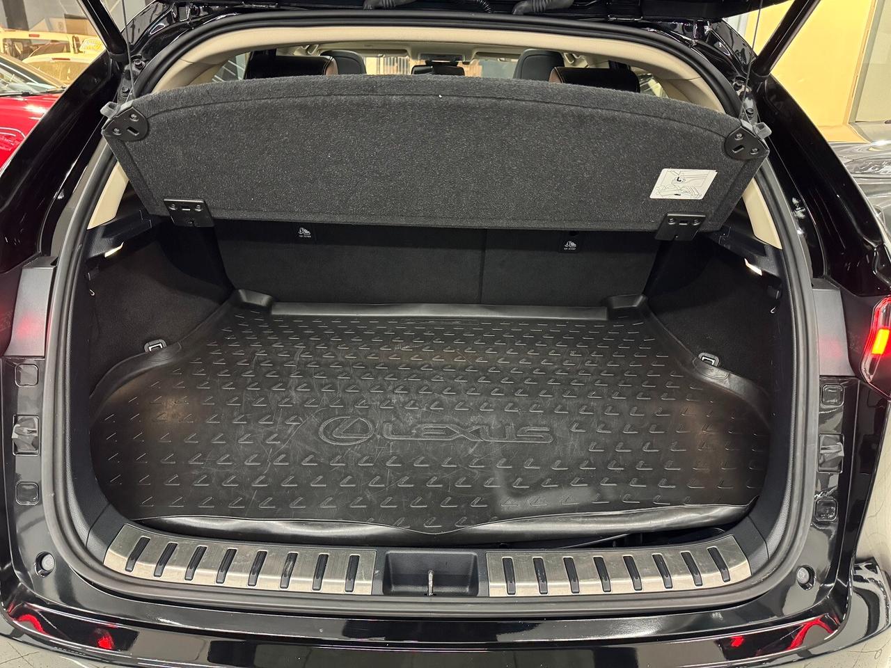 NX 300h Hybrid 4WD Luxury STRAFUL TETTO!!!!!