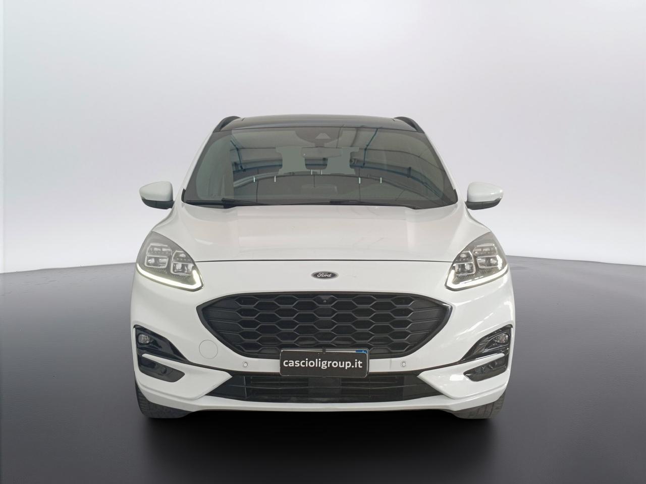 FORD Kuga III 2020 - Kuga 1.5 ecoblue ST-Line X 2wd 120cv