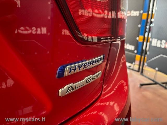 SUZUKI Ignis 1.2 Hybrid 4WD All Grip Top
