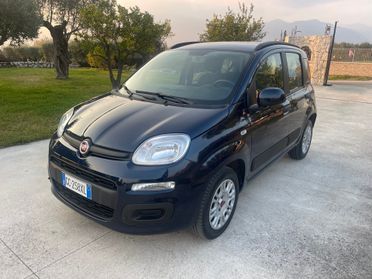 Fiat Panda 1.2 BENZINA LOUNGE 12 MESI DI GARANZIA