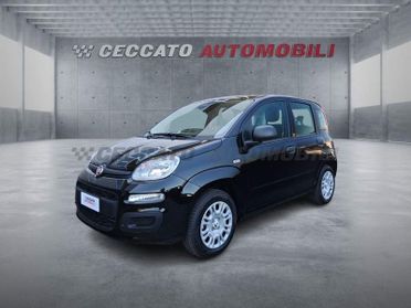 FIAT Panda Panda 1.0 70cv Hybrid Icon
