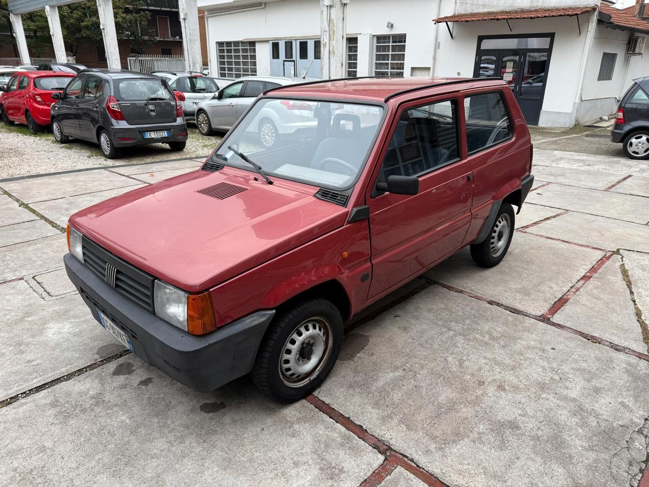 Fiat Panda 1100 i.e. cat Hobby