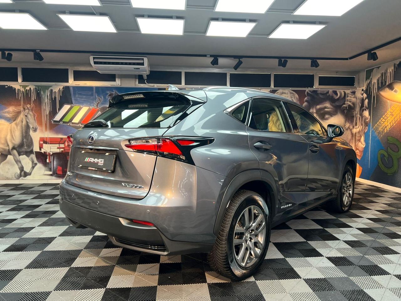 NX 300h 2.5 Executive 4wd cvt (190)
