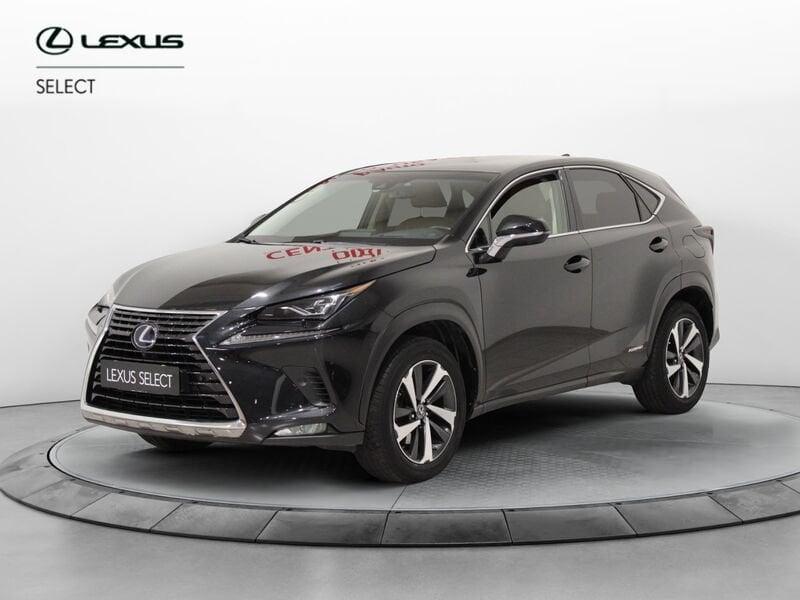 Lexus NX NX Hybrid 4WD Luxury