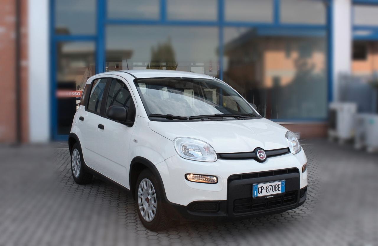 Fiat Panda 1.0 FireFly S&S Hybrid-OK NEOPATENTATI