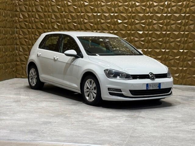 Volkswagen Golf 1.6 TDI 5p. Highline BlueMotion