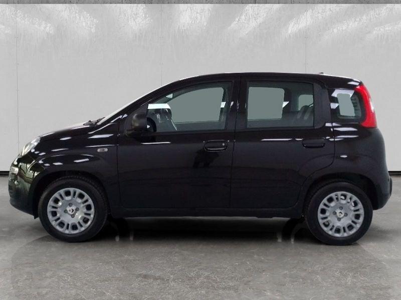 FIAT Pandina 1.0 firefly hybrid Icon s&s 70cv 5p.ti