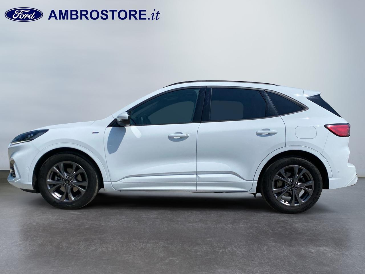 FORD Kuga III 2020 - Kuga 1.5 ecoblue ST-Line 2wd 120cv