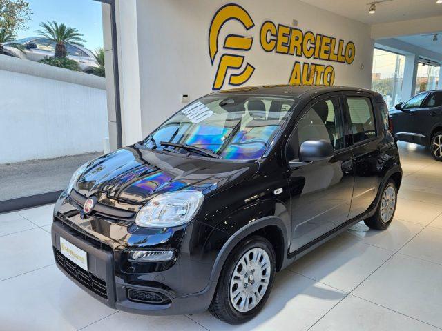 FIAT Panda 1.0 FireFly S&S Hybrid Pandina da ?149,00 mensili