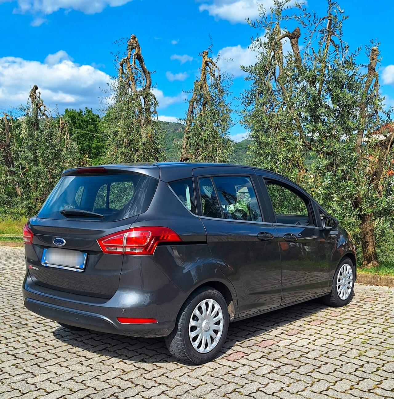Ford B-Max 1.6 TDCi 95 CV Business - Tagliandata Cinghia fatta