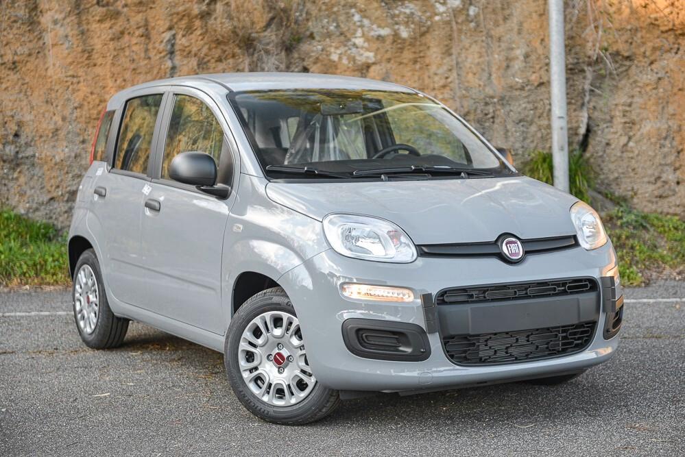 Fiat Panda Cross 1.0 FireFly S&S Hybrid