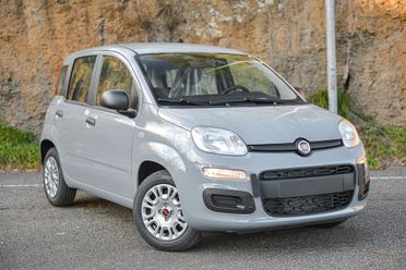 Fiat Panda Cross 1.0 FireFly S&S Hybrid