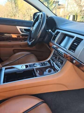 Jaguar XF 3.0 DIESEL V 6 AUTOMATICA CV 241 LUXURY