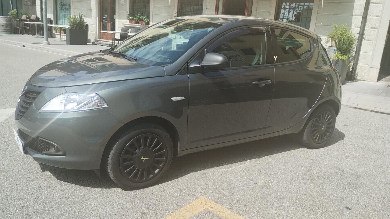 Lancia Ypsilon 1.2 69 CV 5 porte Elefantino NEOPATENTATI